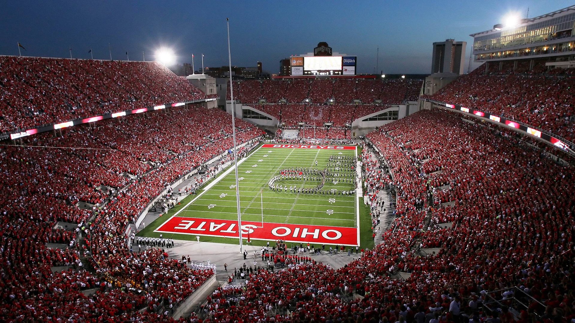 开云APP-蜂群吞噬孤狼，当切特·霍姆格伦的沉静成为最锋利的刺